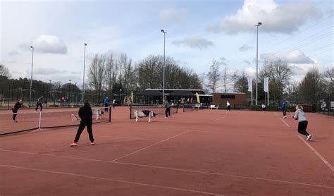 tennisvereniging mallumse molen viert vijftigjarig jubileum het laatste nieuws uit eibergen en