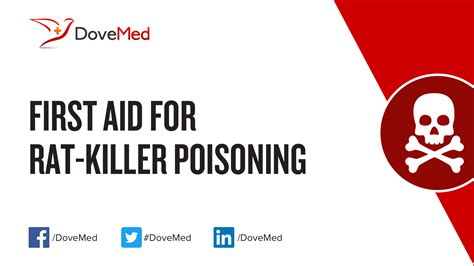 aid  rat killer poisoning
