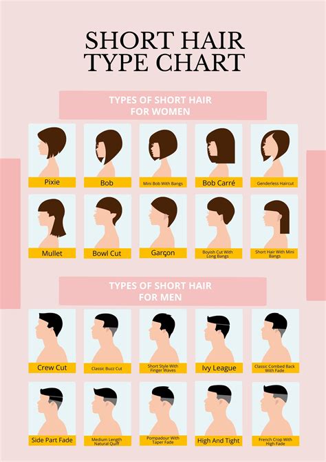 hair type chart  illustrator   templatenet