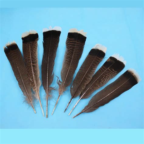 buy wholesale eagle feather  china eagle feather wholesalers