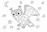 Night Coloring Owl Birds Kids Starry Pages Animals Print Color Animal Printable Justcolor sketch template