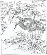 Slang Natuur Ums Ausmalbilder Kleuren Mandala Kleurplatenenzo sketch template