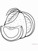 Pomelo sketch template