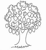 Albero Cytrynowe Drzewo Alberi Trees Colorings Frutta Frutto Kolorowanka Malowankę Wydrukuj Pourfemme Mamma sketch template