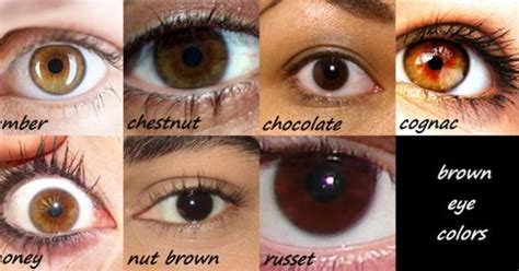 common shade  brown eyes girlsaskguys