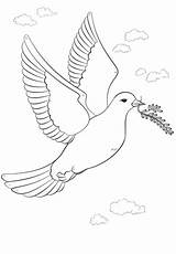 Coloring Dove Olive Branch Peace Pages Printable Crafts Choose Board Doves Supercoloring sketch template