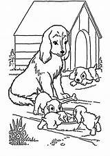 Hunde Ausmalbilder Malvorlagen Malvorlage Kostenlose Kindern sketch template