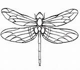 Dragonfly Drawing Coloring Pages Line Wings Printable Drawings Kids Tattoo Outline Designs Color Google Simple Dragonflies Patterns Large Green Wing sketch template