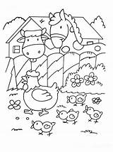 Coloring Kids Horse Cow Horses Pages Chicks Animals Color Hen Few Details Children sketch template