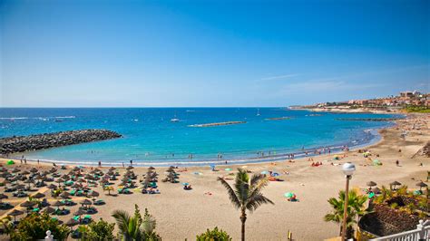 playa de las americas urlaub  guenstig buchen bei holidaycheck