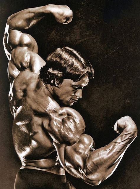 arnold schwarzenegger  legend  bodybuilding