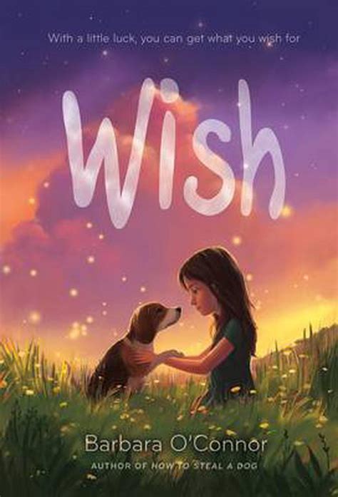 Wish By Barbara O Connor English Hardcover Book Free Shipping