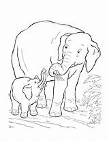 Savane Elephant Olifant Kleurplaat Mama Jecolorie Elephants Danieguto Imprimé sketch template