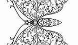 Butterfly Fosterginger Pinte sketch template