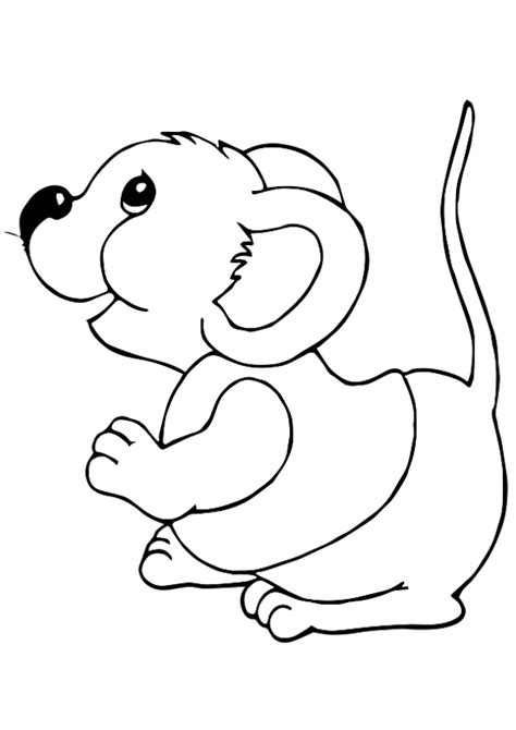 rat coloring pages books    printable