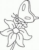 Leptir Kupu Bunga Colorat Bojanke Desene Fluturi Hinggap Mewarnai Animais Anak Diatas Imagini Amarartes Qbebe Planse sketch template