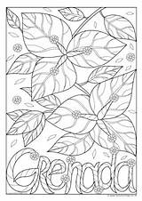 Grenada sketch template