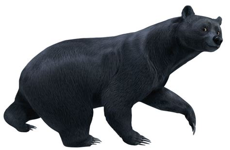 brave bear google sculpture reference pinterest disney