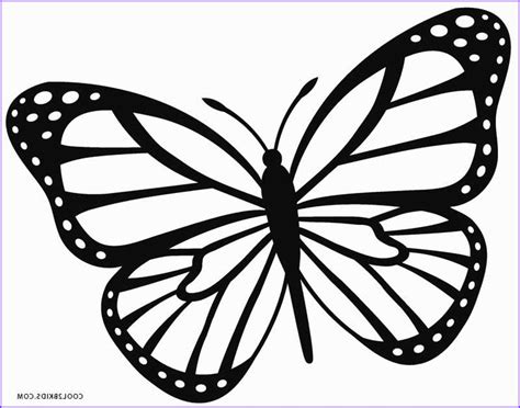 epingle sur butterfly