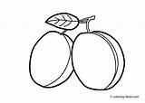 Plum Coloring Pages Clipart Fruit Outline Drawing Kids Color Fruits Drawings Passion Print Colouring Clipartmag Prinables Popular Printable Easy Preschool sketch template