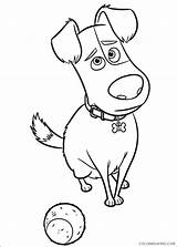 Pets Coloring Pages Secret Life Coloring4free Printable Film Tv Max sketch template