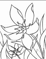 Coloring Pages Flower Flowers Color sketch template