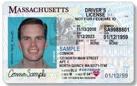 massachusetts voters  decide  drivers licenses  undocumented