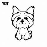Yorkie Puppy Teacup Yorkshire Terrier Coloreo sketch template