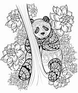 Panda Mandalas Adulti Kolorowanki Zentangle Tiere Adultos Druku Stampare Justcolor Cerca Coloriages Adulte Facili Libri Doroslych Sfondo Comprendente Kolorowanka Colorier sketch template