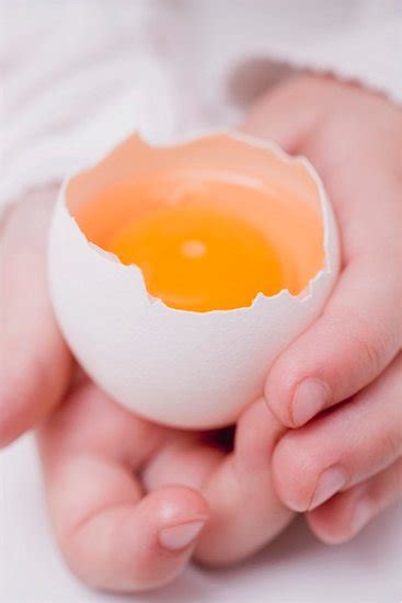 piquenique qualidade  ovo