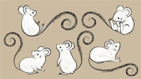 satz hand gezeichnete ratten mouses  den verschiedenen haltungen tintenbuerstenanschlag