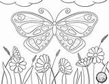 Coloring Pages Garden Squarespace Color Adventure sketch template