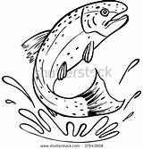Trout Rainbow Drawing Line Clip Brook Clipart Fish Jumping Coloring Vector Shutterstock Drawings Stencil Patterns Color Template Pages Printable Illustrations sketch template