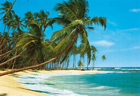 tropical beach wallpapers  cool images