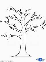 Sycamore Tree Coloring Pages Divyajanani sketch template
