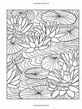 Coloring Creative Haven Pages Flower Books Book Amazon Floral Number Color sketch template