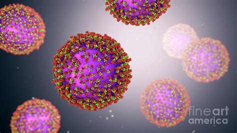 measles virus photograph by kateryna kon science photo library