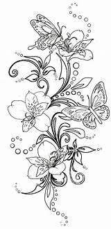 Coloring Swirls Blumen Metacharis Papillon Schmetterling Fleur Malvorlagen Schmetterlinge Papillons Ausmalen Mandalas Adultes Erwachsene Coloriages Patrones Brandmalerei Blumenranken Sketch Motyle sketch template