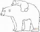 Coloring Bear Pages Polar Cute Baby Mother Mit Supercoloring Printable Polare Orso Color Getcolorings Cartoon Drawing Choose Board sketch template