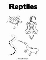 Reptiles Reptile Twistynoodle sketch template