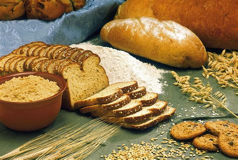 environmental illness research news  grain foods offer