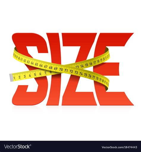 squeezed  tape measure word size royalty  vector image