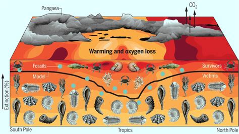 permian marine mass extinction caused  increased temperatures oxygen loss study scinews