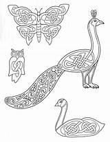 Celtic Designs Animals Coloring Pages Peacock Drawing Outline Printable Animales Adult Celta Animal Diseño Owl Inspired Animaux Celtiques Pattern Dibujos sketch template