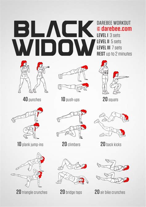 Black Widow S Training Omg Fitness Your Personal Trainer