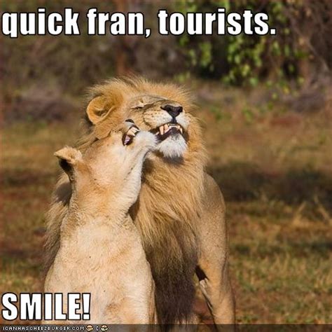 Quick Fran Tourists Smile Cheezburger Funny Memes