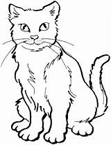Coloring Cats Pages Print Kids sketch template