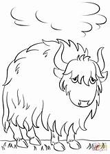 Yak Coloring Cartoon Pages Pluspng Printable Drawing Animals Mammals Dot Preschool Supercoloring Categories sketch template