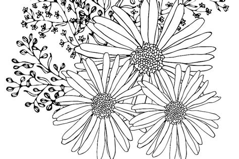fun flowers coloring pages   printable coloring pages