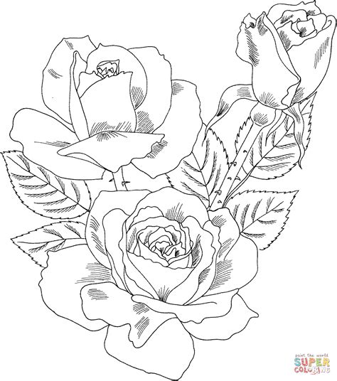 roses printable coloring pages printable word searches